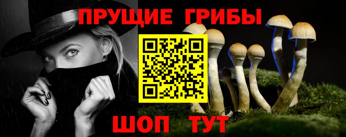 Галлюциногенные грибы прущие грибы Красногорск
