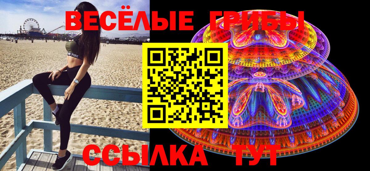 Псилоцибиновые грибы Psilocybine cubensis  Вход с VPN  Красногорск 